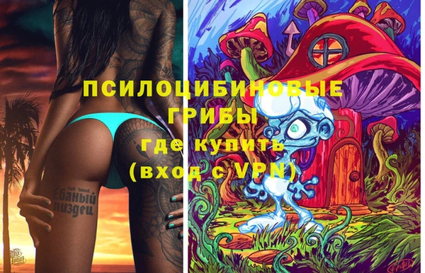 гашик Лихославль