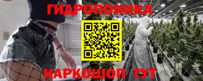 гидропоника Балахна