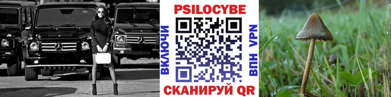 Псилоцибиновые грибы прущие грибы Избербаш