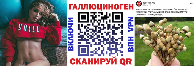 Псилоцибиновые грибы MAGIC MUSHROOMS Избербаш