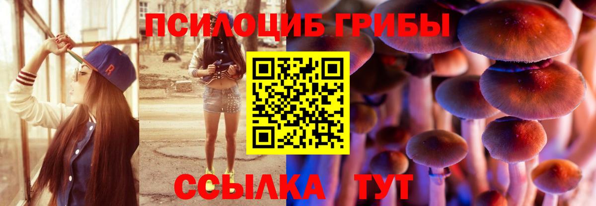 Галлюциногенные грибы мицелий  Избербаш 